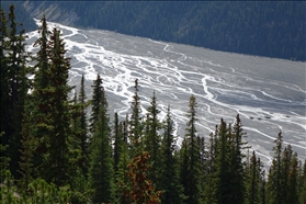 Peyto Lake